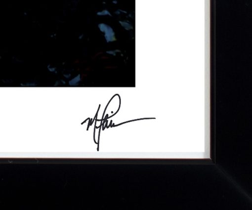 John Lennon Study 4 Signature